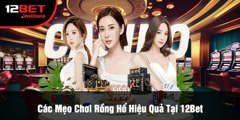 Các Mẹo Chơi Rồng Hổ Hiệu Quả Tại 12Bet