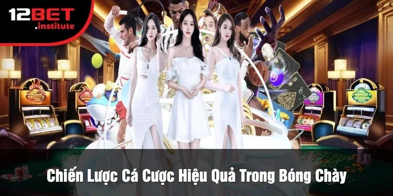 Chiến Lược Cá Cược Hiệu Quả Trong Bóng Chày
