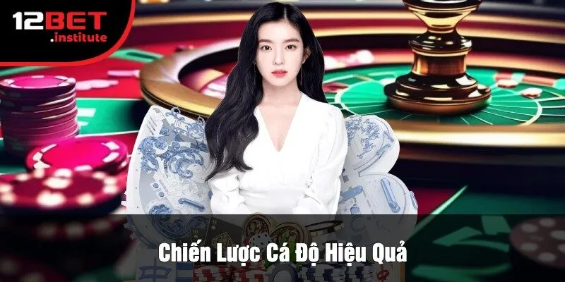 Chiến Lược Cá Độ Hiệu Quả