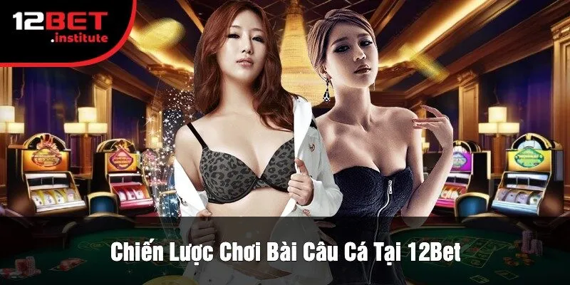 Chiến Lược Chơi Bài Câu Cá Tại 12Bet