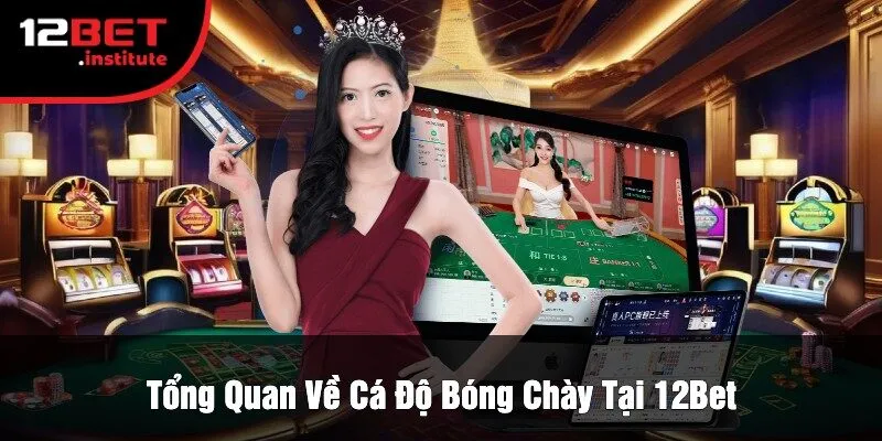 Tổng Quan Về Cá Độ Bóng Chày Tại 12Bet